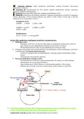 Baltymų ir fermentų santrauka 17 puslapis