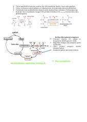 Baltymų ir fermentų santrauka 18 puslapis