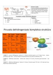 Baltymų ir fermentų santrauka 19 puslapis