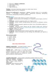 Baltymų ir fermentų santrauka 3 puslapis