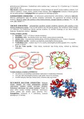 Baltymų ir fermentų santrauka 4 puslapis