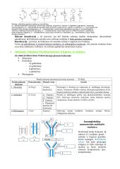 Baltymų ir fermentų santrauka 5 puslapis