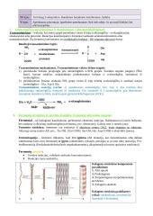 Baltymų ir fermentų santrauka 7 puslapis