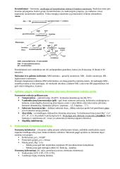 Baltymų ir fermentų santrauka 10 puslapis