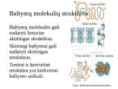 Baltymai - pristatymas 11 puslapis