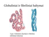 Baltymai - pristatymas 15 puslapis