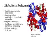 Baltymai - pristatymas 16 puslapis