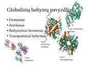 Baltymai - pristatymas 17 puslapis