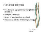 Baltymai - pristatymas 19 puslapis