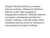 Baltymai - pristatymas 20 puslapis