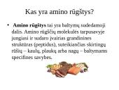 Baltymai - pristatymas 4 puslapis