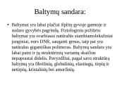 Baltymai - pristatymas 5 puslapis