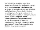 Baltymai - pristatymas 8 puslapis