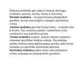 Baltymai - pristatymas 10 puslapis