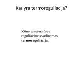 Kas yra termoreguliacija?