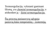 Kas yra termoreguliacija? 11 puslapis