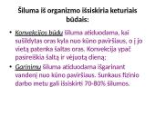 Kas yra termoreguliacija? 13 puslapis