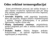 Kas yra termoreguliacija? 20 puslapis