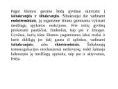 Kas yra termoreguliacija? 5 puslapis