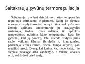 Kas yra termoreguliacija? 7 puslapis