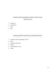 Apšvietos projektavimas poligrafijos ceche 14 puslapis