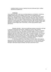 Art Nouveau Belgijoje 8 puslapis