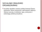 Socialinis draudimas Lenkijoje 2 puslapis