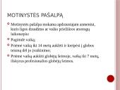 Socialinis draudimas Lenkijoje 12 puslapis