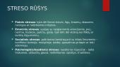 Pristatymas apie stresą 3 puslapis