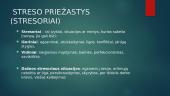 Pristatymas apie stresą 4 puslapis