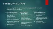 Pristatymas apie stresą 7 puslapis