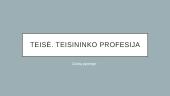 Teisė. Teisininko profesija