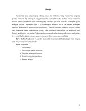 Asmenybės bruožų nustatymas naudojant Aizenko asmenybės klausimyną (EPQ) 3 puslapis