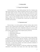 Asmenybės bruožų nustatymas naudojant Aizenko asmenybės klausimyną (EPQ) 4 puslapis