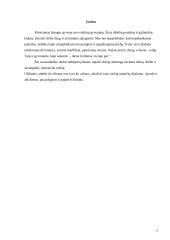 Asmeninės rekreacinės veiklos analizė 2 puslapis