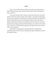 Asmeninės rekreacinės veiklos analizė 6 puslapis