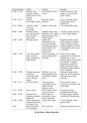 Asmeninės rekreacinės veiklos analizė 9 puslapis