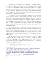 F. Nyčės idėjų įtaka šiuolaikiniam jaunam žmogui 11 puslapis