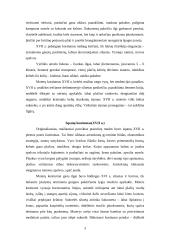 Baroko kostiumo istorija 3 puslapis