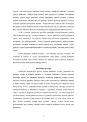 Baroko kostiumo istorija 5 puslapis