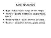 Lietuvoje gyvenantys žinduoliai 5 puslapis