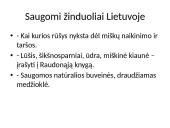 Lietuvoje gyvenantys žinduoliai 7 puslapis