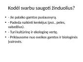Lietuvoje gyvenantys žinduoliai 8 puslapis