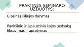 Kojų pėdsakų suradimas, fiksavimas, aprašymas 3 puslapis