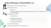 Kojų pėdsakų suradimas, fiksavimas, aprašymas 4 puslapis