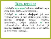 Dalelyčių rašymas kartu ir atskirai 11 puslapis