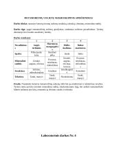 Geologijos laboratorinių darbų ataskaitos 3 puslapis