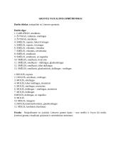 Geologijos laboratorinių darbų ataskaitos 5 puslapis