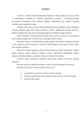 Turto nuoma ir panauda 2 puslapis