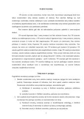 Turto nuoma ir panauda 3 puslapis